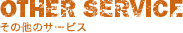 lesson_other_service_title