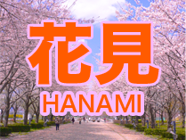 花見(HANAMI) BBQ!